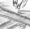 Duel